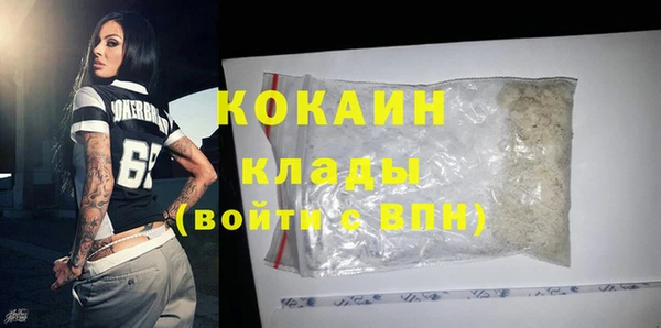 дживик Переславль-Залесский