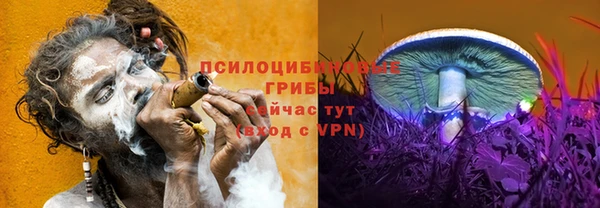 трава Абаза