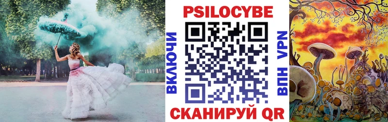 Псилоцибиновые грибы мицелий mega как войти Новотроицк наркотики
